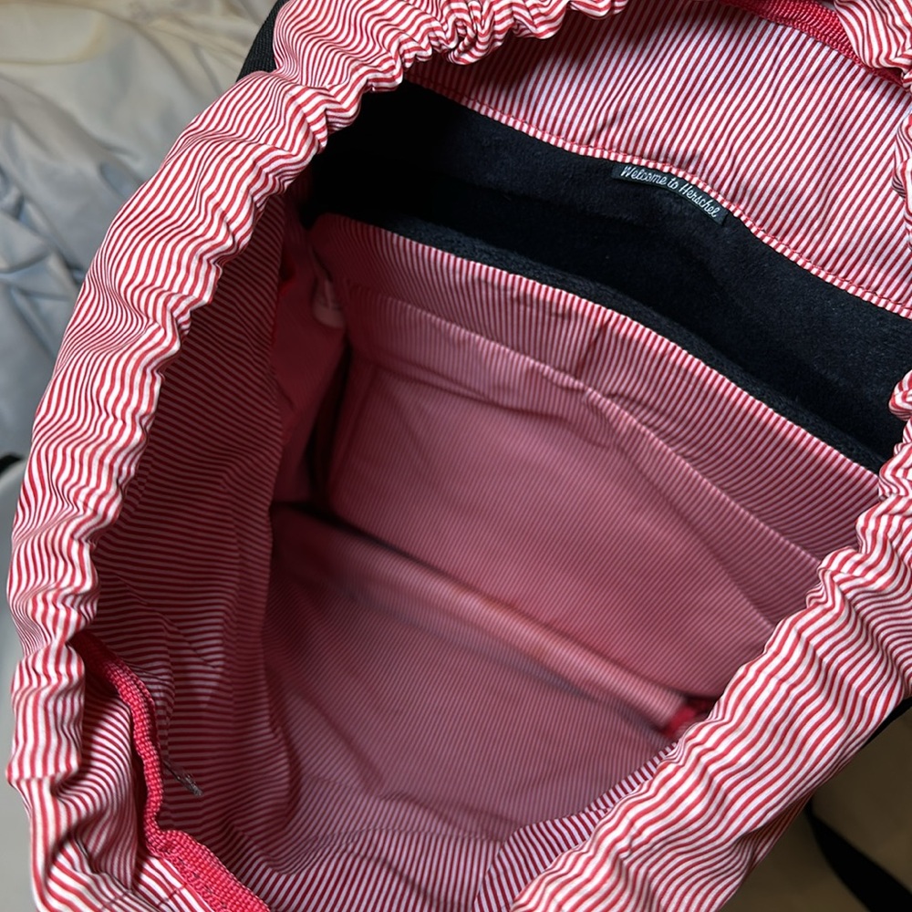 Hershel Backpack - image 3